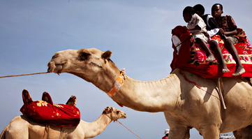 camel derby kenya